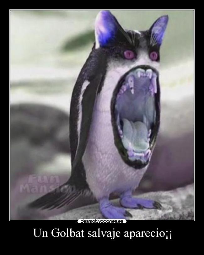 Un Golbat salvaje aparecio¡¡ -