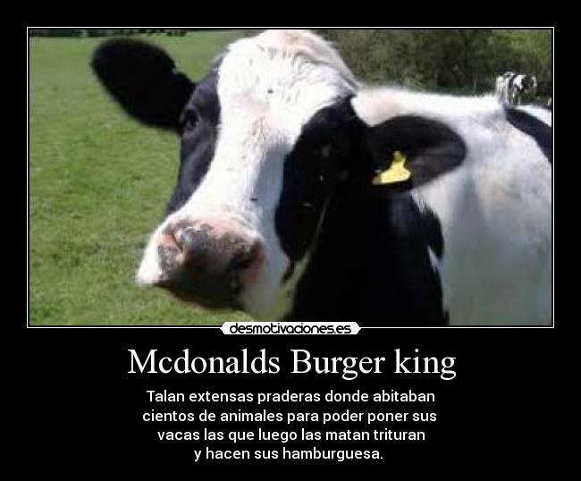 Mcdonalds Burger king -