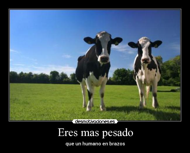 Eres mas pesado - que un humano en brazos