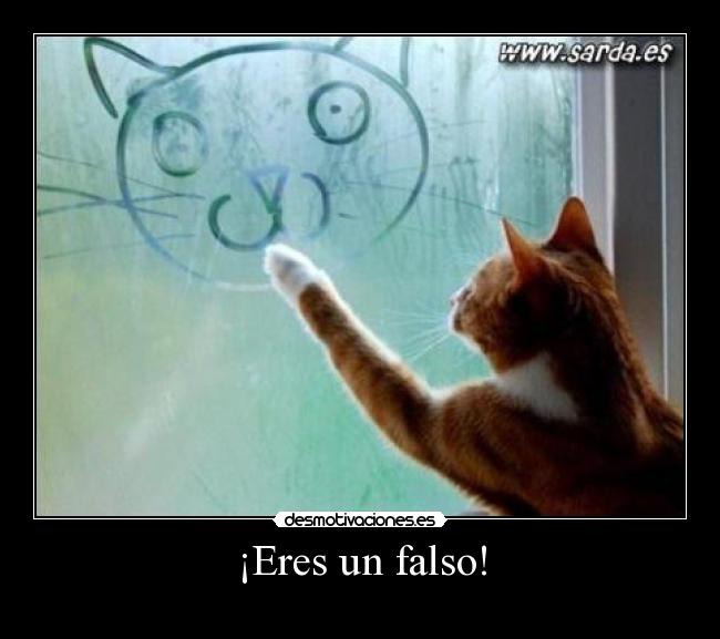 ¡Eres un falso! -