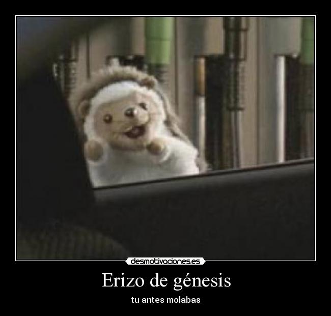 Erizo de génesis - tu antes molabas