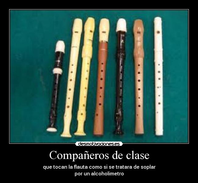 Compañeros de clase -