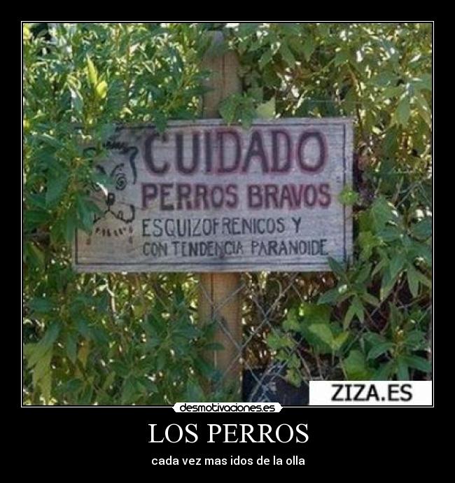 LOS PERROS - 
