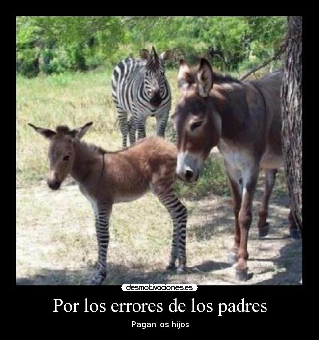 Por los errores de los padres - Pagan los hijos