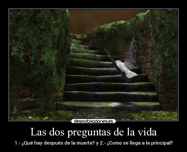 Las dos preguntas de la vida -