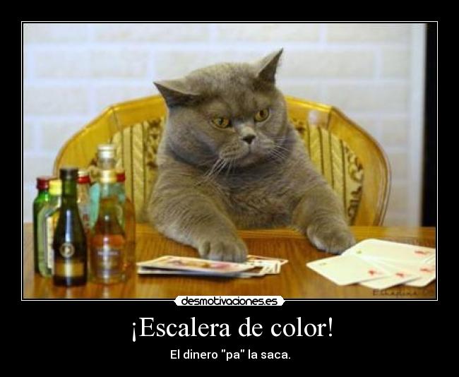 ¡Escalera de color! - El dinero pa la saca.