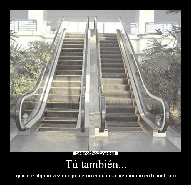 Tú también... - quisiste alguna vez que pusieran escaleras mecánicas en tu instituto