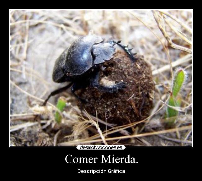 carteles comer mierda desmotivaciones