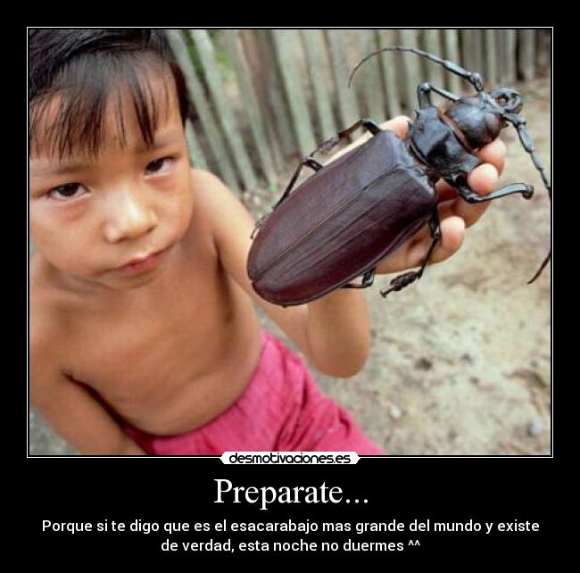 Preparate... - 