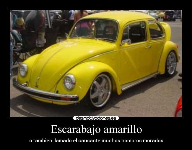 Escarabajo amarillo -