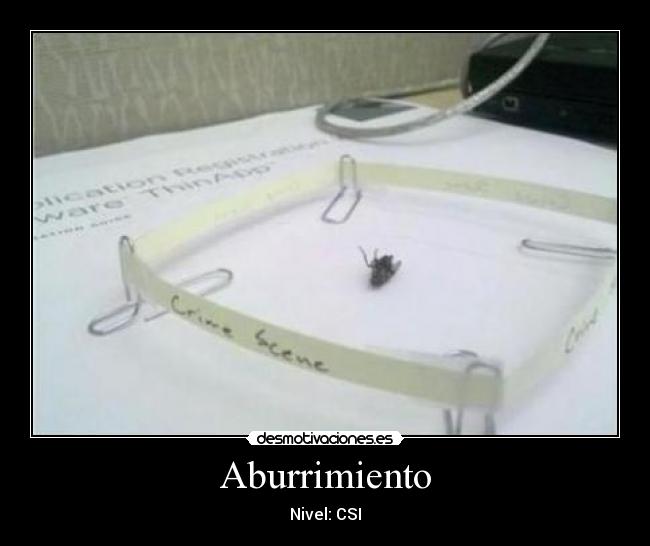 Aburrimiento - Nivel: CSI