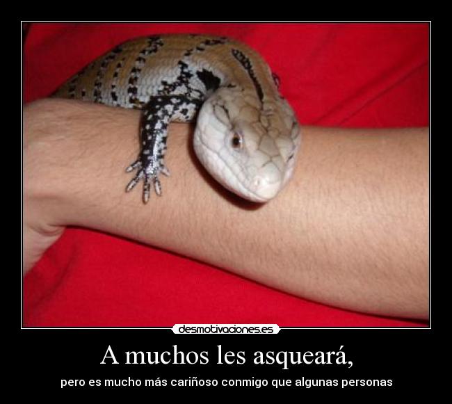 A muchos les asqueará, -