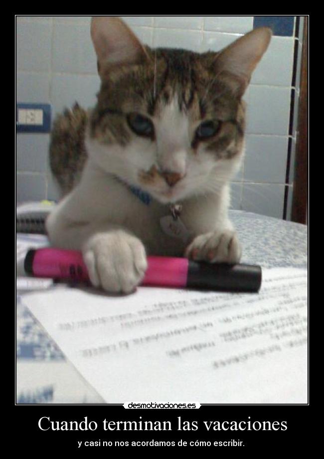 Cuando terminan las vacaciones -