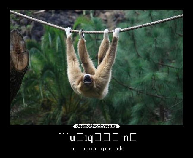 ˙˙˙uǝıqɯɐʇ nʇ - oɥɔǝɥ ǝɥ oן oɯoɔ ɹǝqɐs sǝɹǝınb