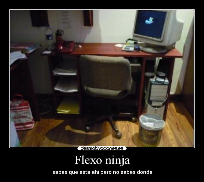 Flexo ninja - sabes que esta ahi pero no sabes donde