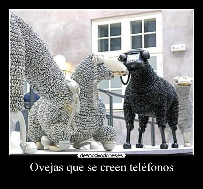 Ovejas que se creen teléfonos -