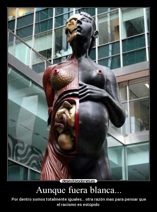 Aunque fuera blanca... - Por dentro somos totalmente iguales... otra razón mas para pensar que
el racismo es estúpido 