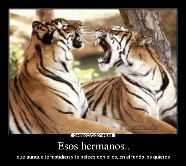 Esos hermanos.. - 