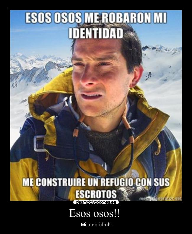 carteles osos grils bears desmotivaciones