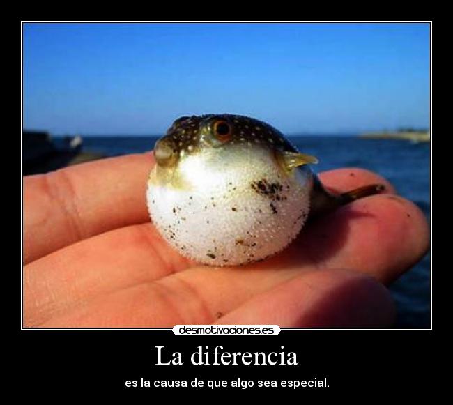 La diferencia - es la causa de que algo sea especial.