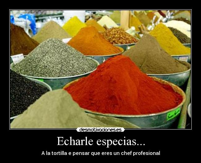 Echarle especias... - A la tortilla e pensar que eres un chef profesional