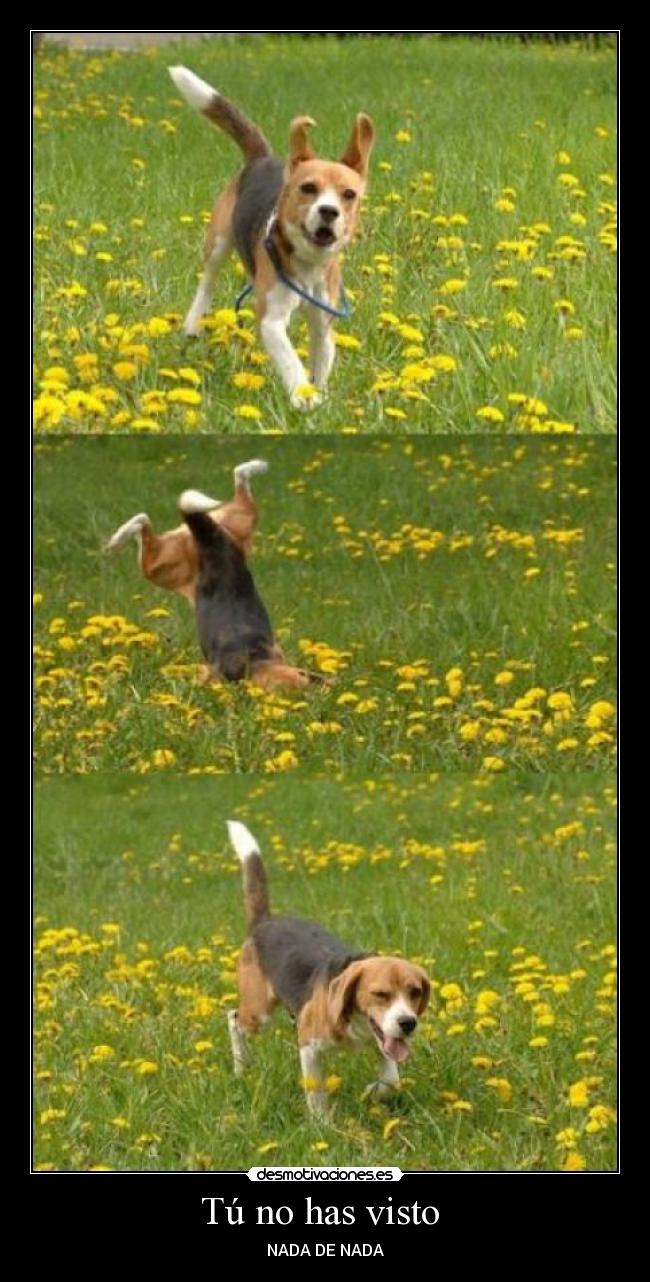 Tú no has visto  - NADA DE NADA