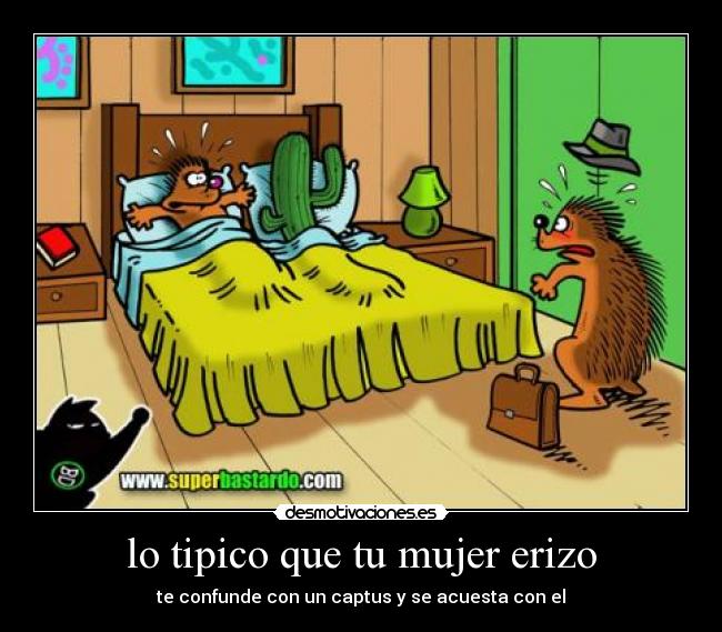 lo tipico que tu mujer erizo - te confunde con un captus y se acuesta con el