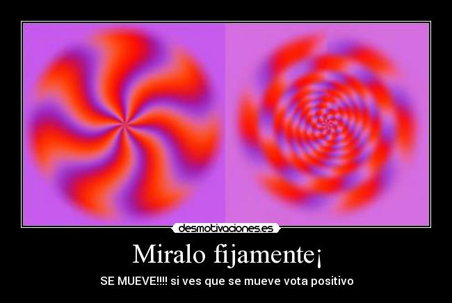 Miralo fijamente¡ -