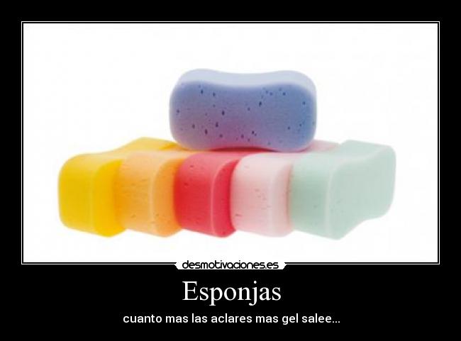 Esponjas -