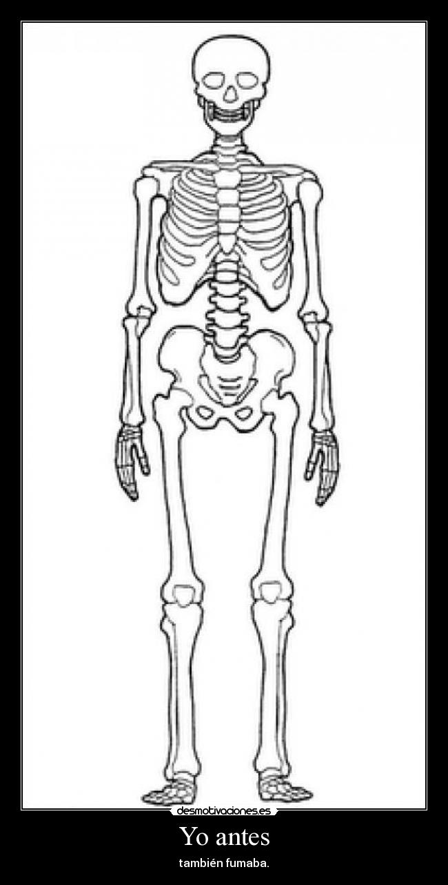 carteles antes desmotivaciones