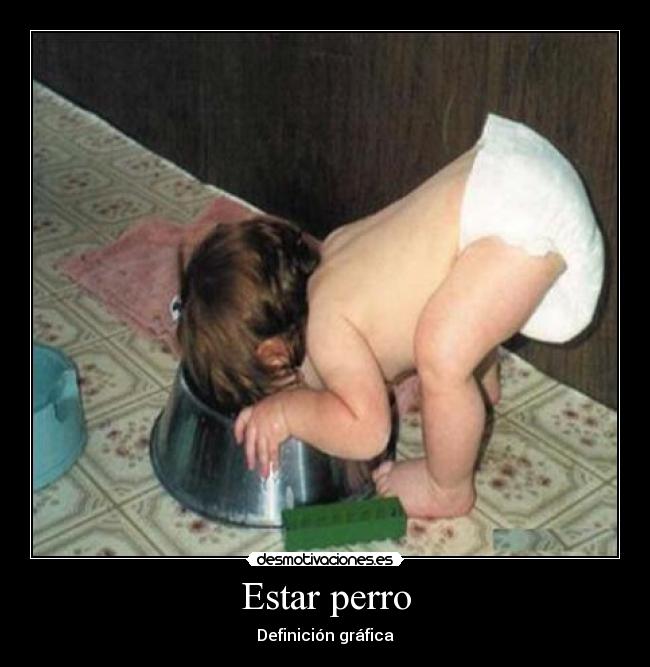 Estar perro - Definición gráfica