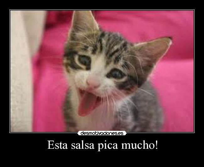 Esta salsa pica mucho! - 