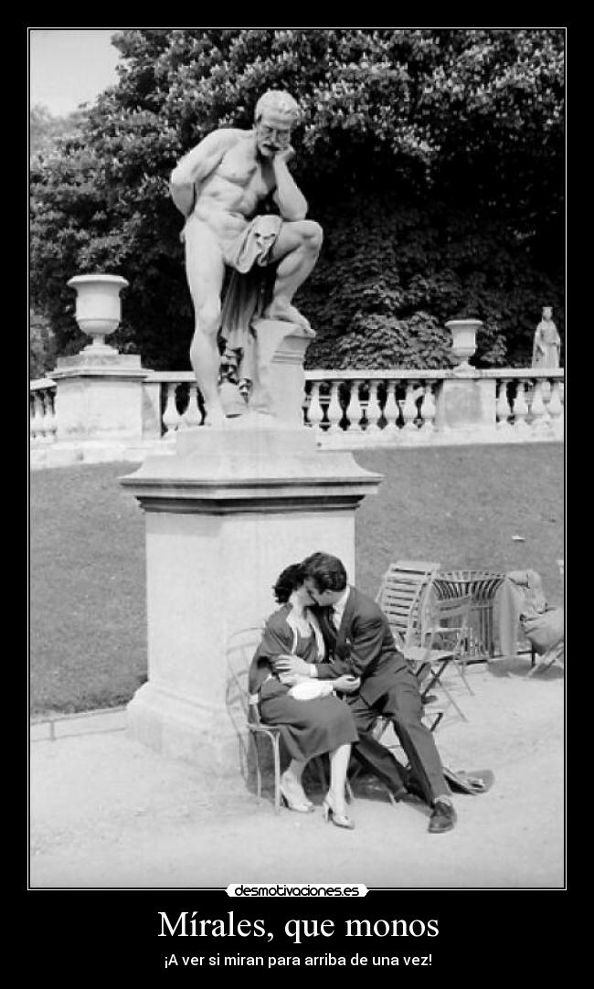 Mírales, que monos - ¡A ver si miran para arriba de una vez!