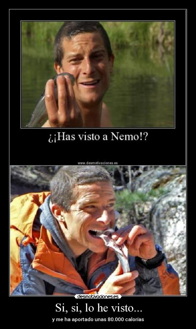 Si, si, lo he visto... - 