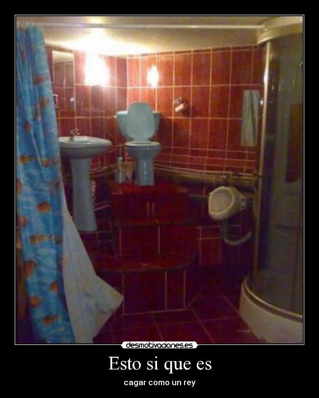 Esto si que es - cagar como un rey
