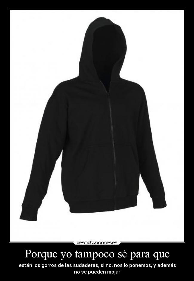 Porque yo tampoco sé para que -