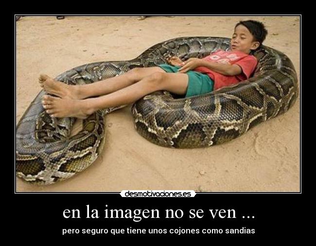en la imagen no se ven ... - 