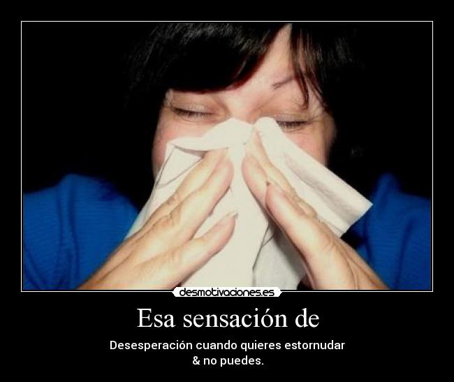 carteles estornudar puedes omfg lees los tags desmotivaciones