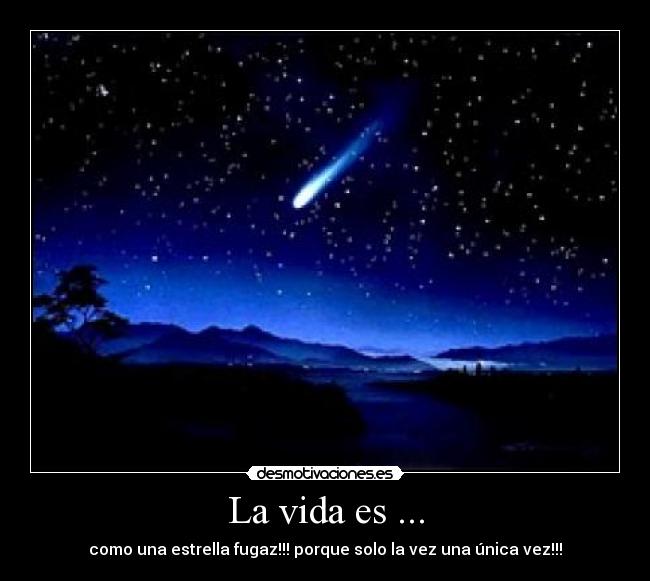 La vida es ... -