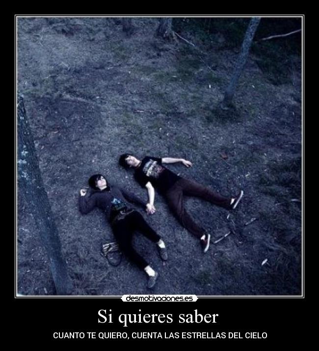 Si quieres saber -