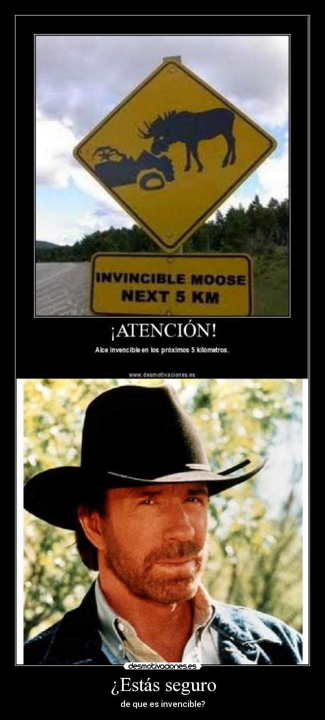 carteles chuck norris desmotivaciones