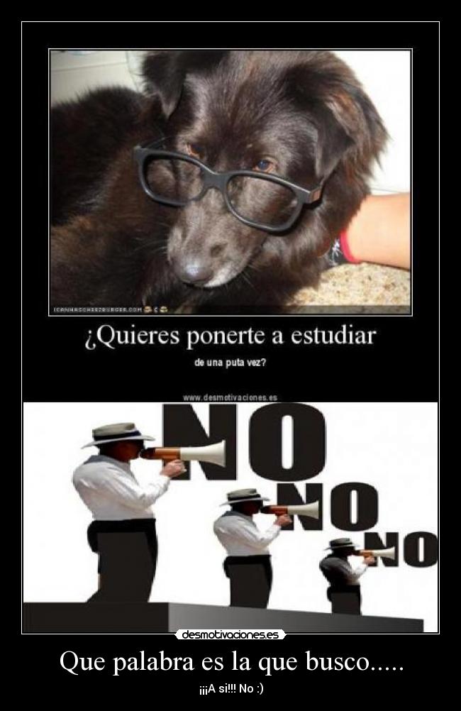 Que palabra es la que busco..... - ¡¡¡A si!!! No :)