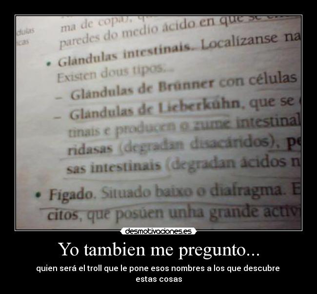 Yo tambien me pregunto... - 