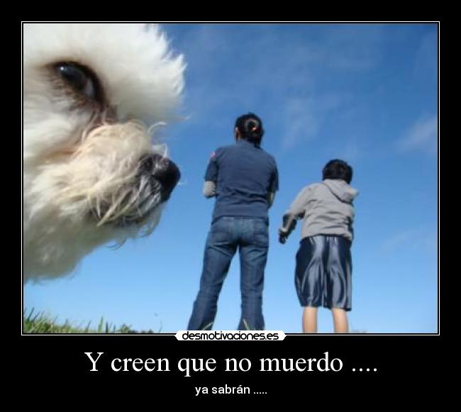 Y creen que no muerdo .... - ya sabrán .....