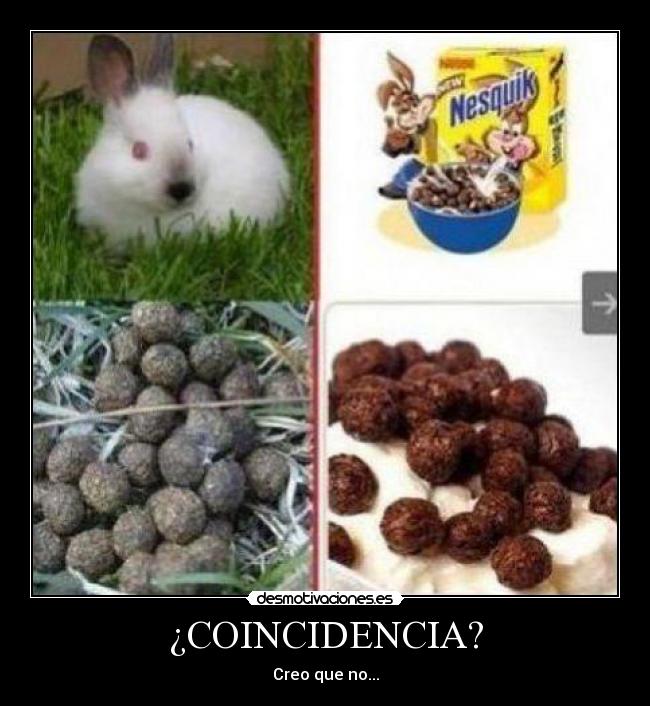 ¿COINCIDENCIA? - 