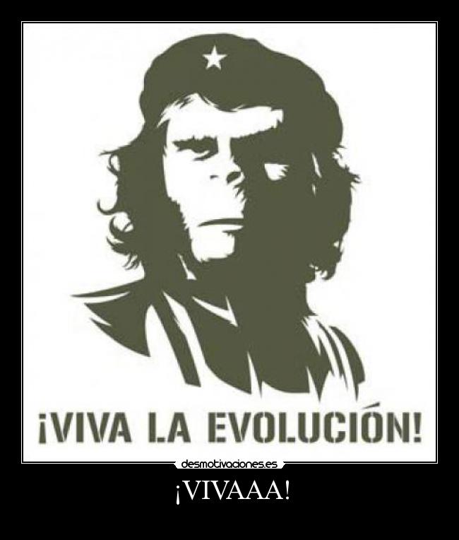 carteles che guevara desmotivaciones