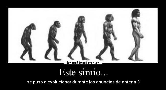 Este simio... - 