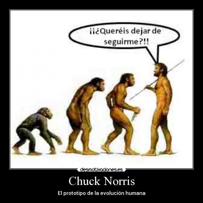 Chuck Norris - El prototipo de la evolución humana
