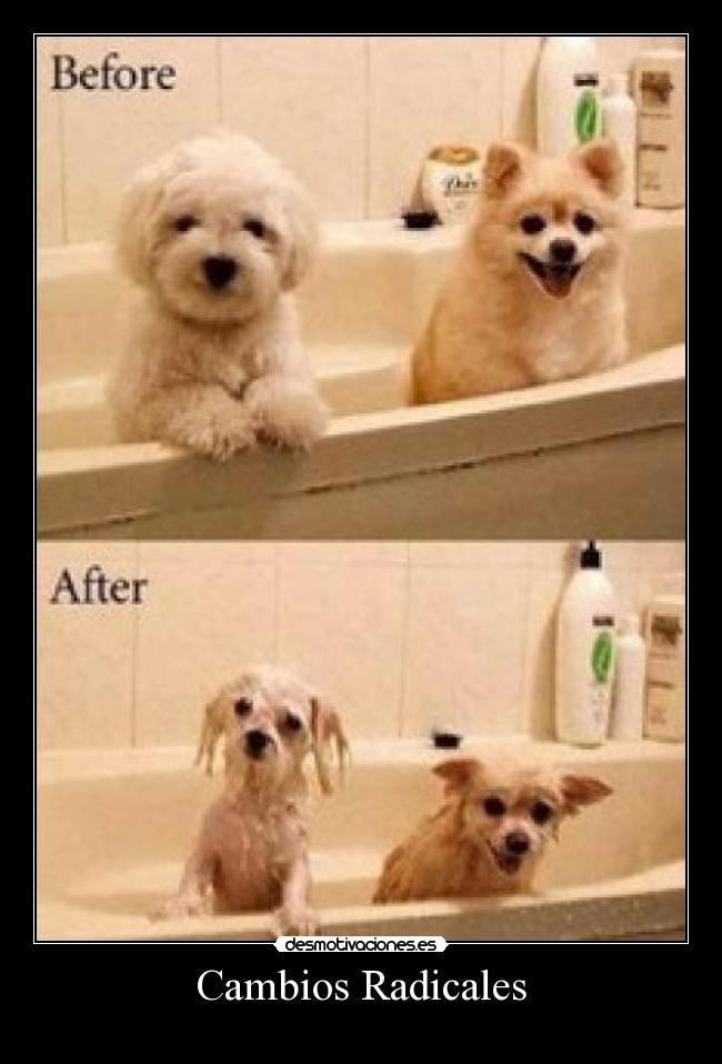 Cambios Radicales - 