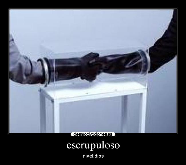 escrupuloso -